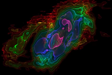 File:Wallpapers Of Three dimensional View Of ALMA Observations Of ...