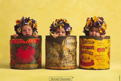 Anne Geddes Wallpapers   %BLOG_TITLE%