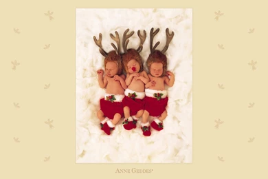 Anne Geddes Wallpapers