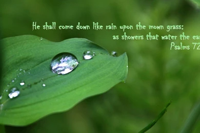 Bible Verses Wallpapers