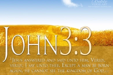 Wallpapers Weed Scripture Verses 800x600