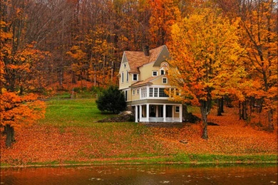 Autumn Wallpapers High Definition Widescreen   Fullwidehd.com