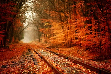 1440x900 Railway Autumn Wallpapers