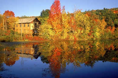 Free Animation Wallpapers 88 Autumn Wallpapers Hd Widescreen Desktop ...