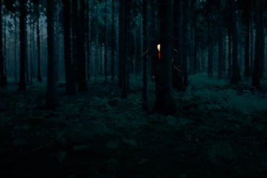 Slender Man Wallpapers   Wallpapers Cave