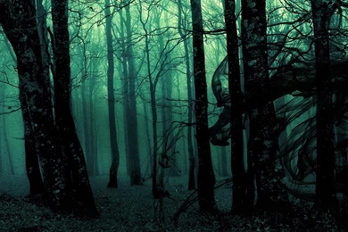 Wallpapers Slender Man Nature Forrest Black Sun Empire Us Com ...