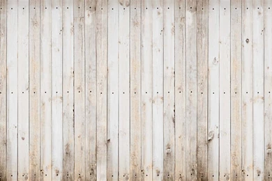 Blonde Planks Mural Wallpapers