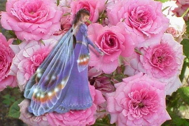 Top 12 Romantic Pictures Hd