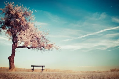 Hd 97405 Free Serene Wallpapers Landcapes HD Wallpaper Backgrounds