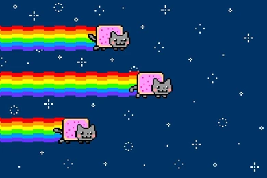 Wallpapers Funny Gifs Creative 1366x768