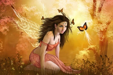 Fairy HD Wallpapers