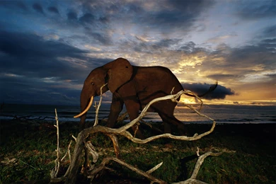 35 National Geographic Wallpapers HD Photos Collections   Yoanu.com