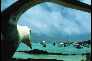 15965) National Geographic Widescreen Desktop Wallpapers   WalOps.com