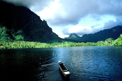 15920) National Geographic Picture Wallpapers   WalOps.com