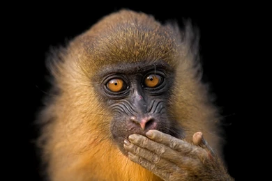 National Geographic HD Wallpapers Widescreen