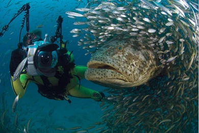 GONE FISHING WALLPAPER   (