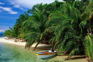 Gone Fishing Wallpapers   (