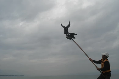 ARNABlog: Gone Fishing