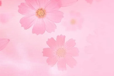 Pink Phone Wallpapers   Wallpapers Zone