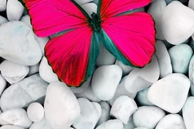 640x960 Hot Wallpapers For Phone Download   16   640x960   Hot ...