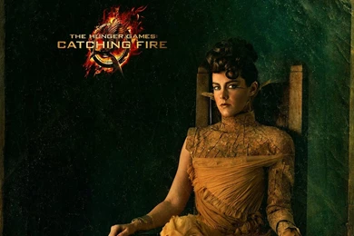 The Hunger Games: Catching Fire Computer Wallpapers, Desktop ...