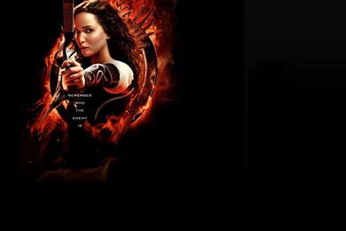 Catching Fire Twitter Backgrounds Gallery Panem Propaganda