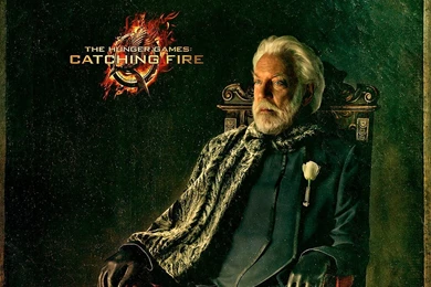 The Hunger Games: Catching Fire Computer Wallpapers, Desktop ...
