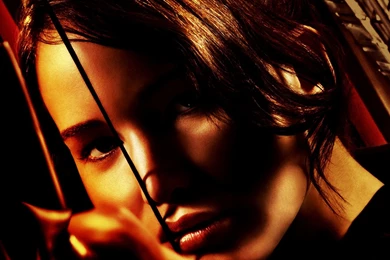 Hunger Games Backgrounds Wallpapers Cave