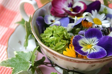 Pansies In Teacup   (