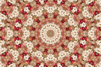 Mandala Madness: Floral Mandala Wallpapers