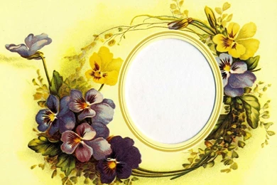 Wallpapers Pansies Flowers Image