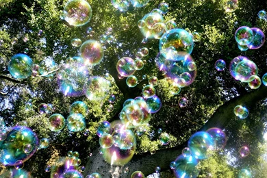 Summer Rain Desktop Wallpapers & Backgrounds Rain Pics