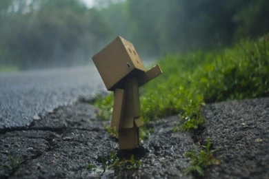 Wallpapers Lonely Girl Free Hd Little Box Summer Rain Facebook ...