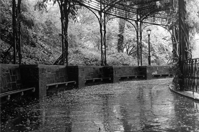 Summer Rain HD Wallpapers