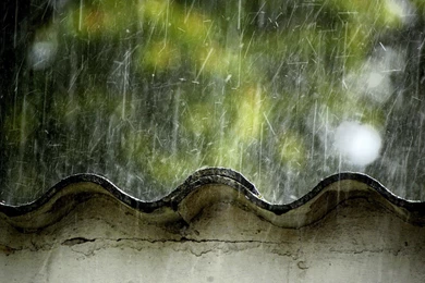 Summer Rain Beats On The Roof Wallpapers And Images   Wallpapers ...