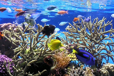 2012 February Page 3