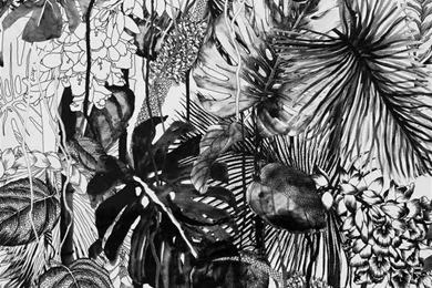 Poppytalk: On The Radar