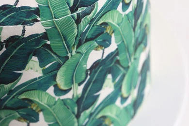 Wallpapers Cakes: Tropical Prints