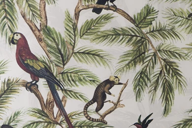 Jungle Print Wallpapers