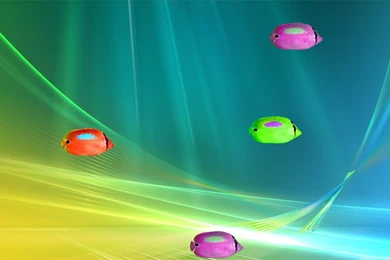 Bluespot Butterfly Fish Wallpapers