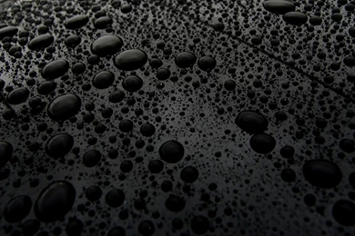 Black Drops Backgrounds   Typta.com