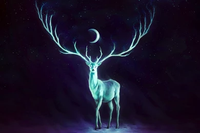 Drawing Artwork, Cartoon Characters, Anime, Drawing, Colors ...