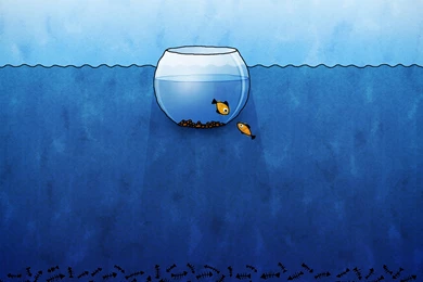 Aquarium Cartoon, Minimalist, Fish, Drawing, 1920x1080 HD ...