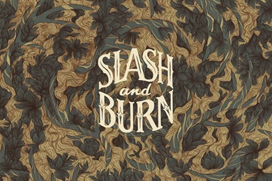 DESKTOP WALLPAPER PROJECT The NEAT Blog