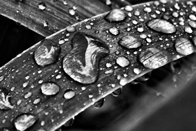Water Drops Wallpapers Wide By JonathanHasenfus On DeviantArt