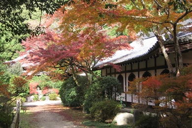 Japan Wallpapers And Images: Japanese Temple Scenery Wallpapers