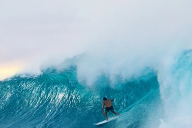 New Wallpapers For Your Desktop Starring Joel Parkinson