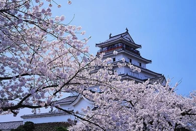 Japanese Scenery Wallpapers   Professional & Beautiful1   Wallcoo.net