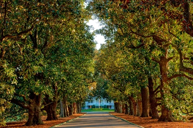 Glass Entertainment Management   Masters Travel Packages US Open ...