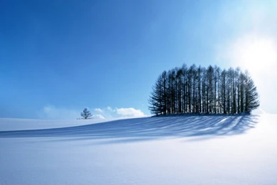 Winter Scenery, Japan HD Desktop Wallpapers : Widescreen : High ...